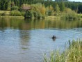 /album/fotogaleria-vrh-a-/alngel-bleki-1-jpg2/